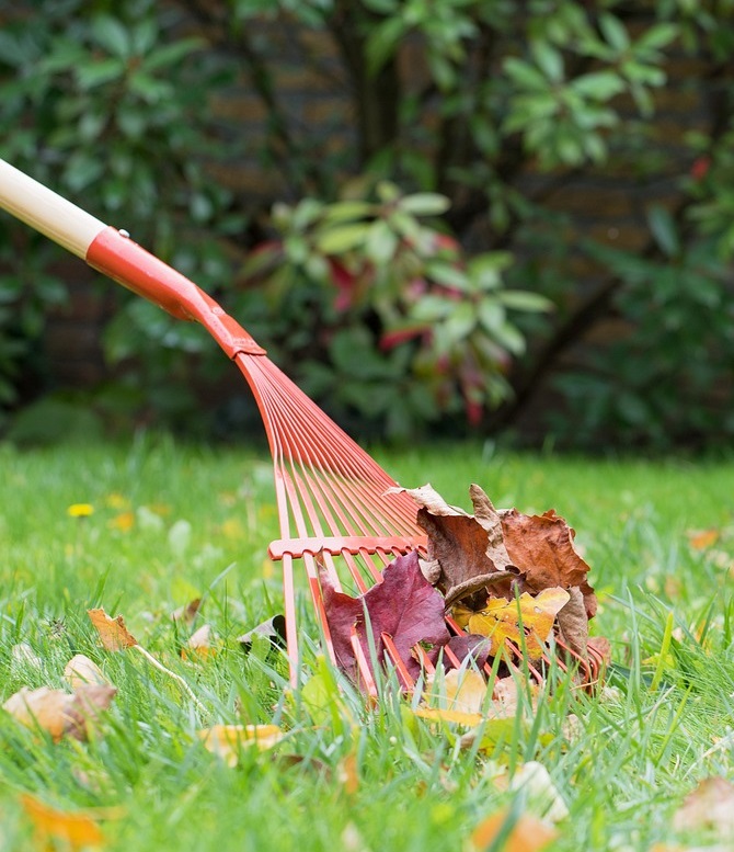 raking leaves