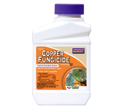 Bonide Liquid Copper Concentrated Liquid Fungicide