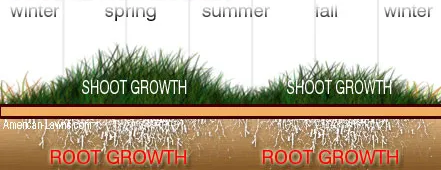 shows grass seed growth in different seasons