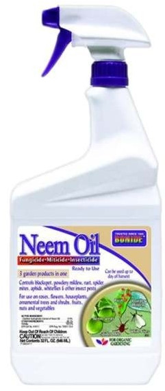 Bonide Insect Control Neem Oil