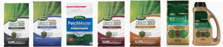 array of grass seeds